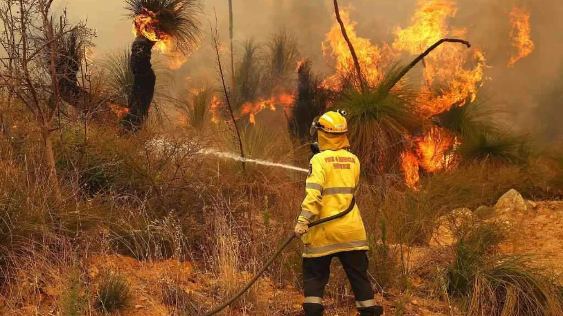 Incendio Australia-AFP OK